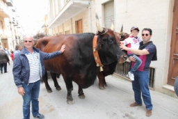 Calatafimi - Segesta102.JPG